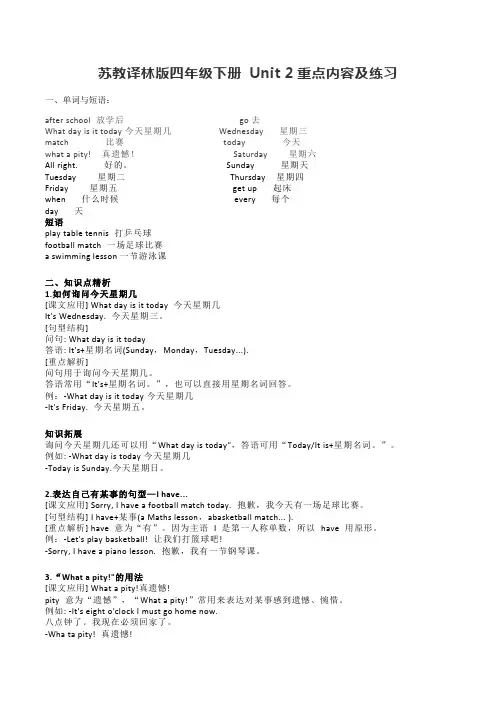 苏教译林版四年级下册 Unit 2重点内容及练习