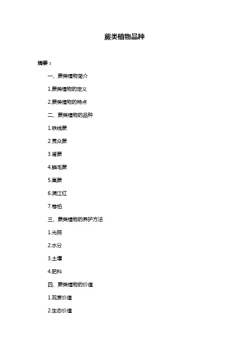 蕨类植物品种