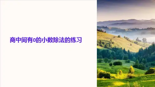 商中间有0的小数除法的练习