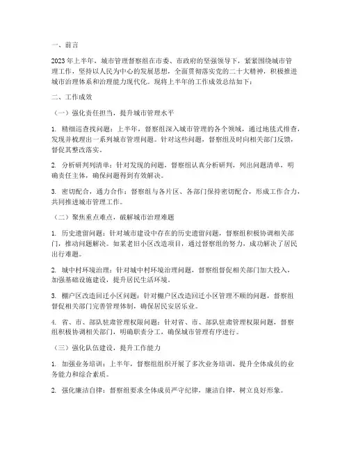 督察组年度总结