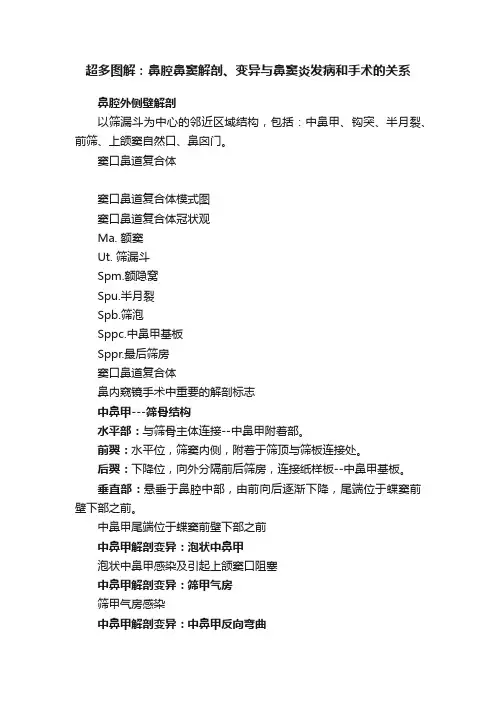 超多图解：鼻腔鼻窦解剖、变异与鼻窦炎发病和手术的关系