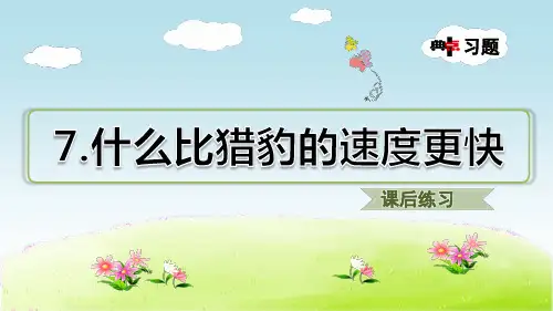 《什么比猎豹的速度更快》课后练习教育课件(部编本五年级上册)