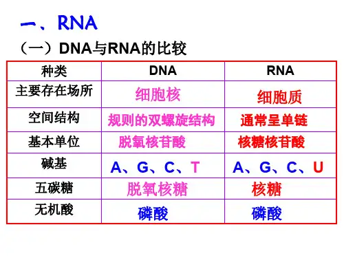 复制、转录、翻译的比较