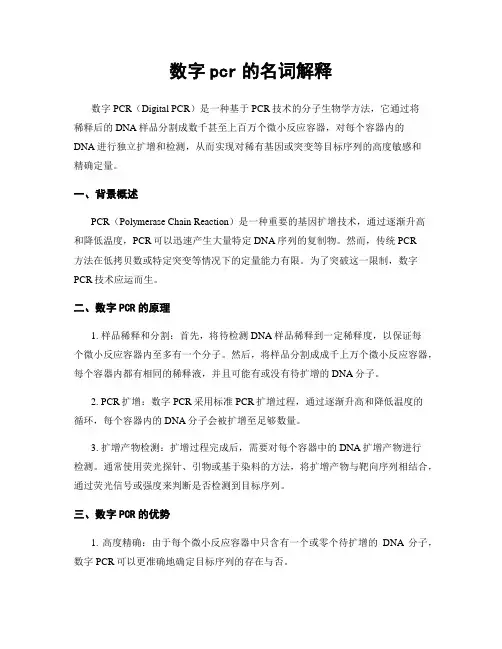 数字pcr的名词解释