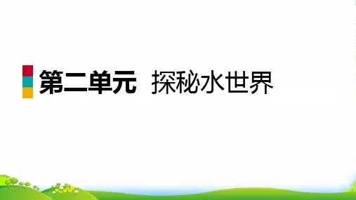 鲁教版九年级上册 第二单元 探秘水世界 复习课件(29张PPT)