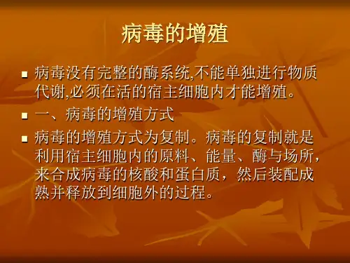 病毒的增殖