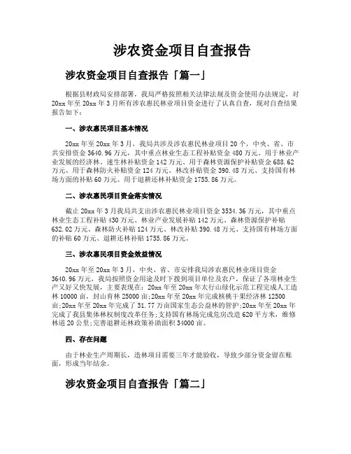 涉农资金项目自查报告