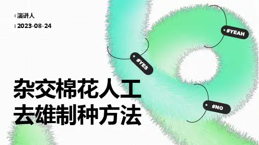 杂交棉花人工去雄制种方法