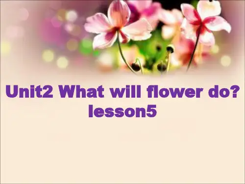 五年级下册英语课件-Unit2 What will flower do     Lesson 5北京课标版