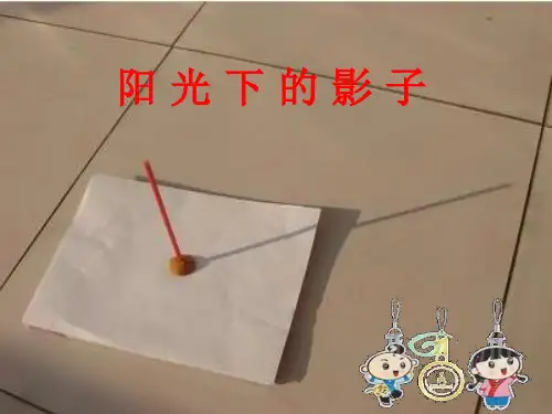 《阳光下的影子》PPT课件