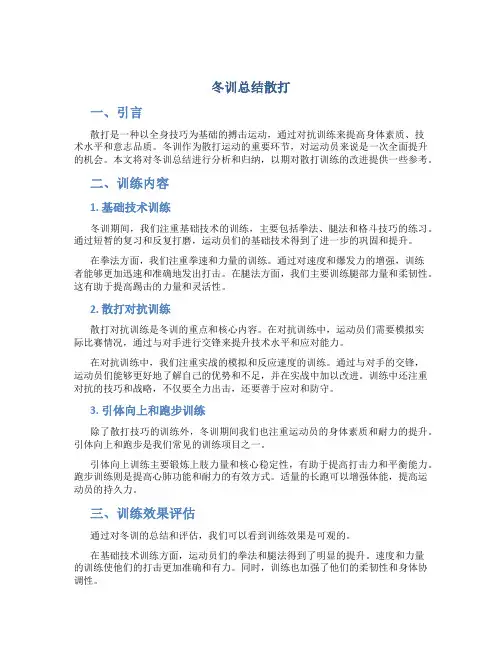 冬训总结散打