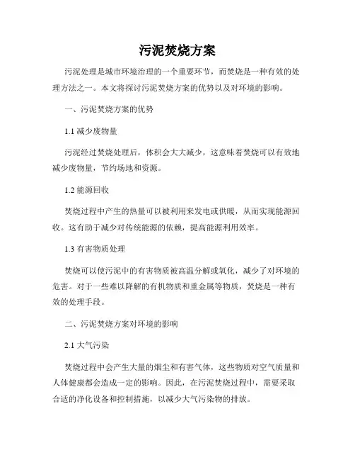 污泥焚烧方案