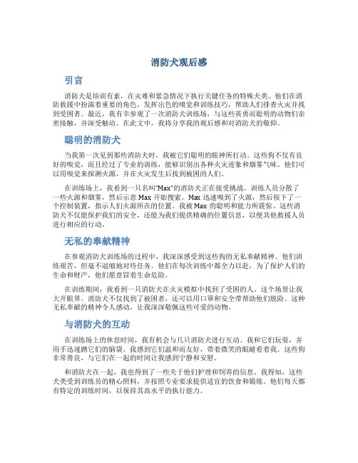 消防犬观后感