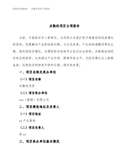 皮鞋机项目立项报告