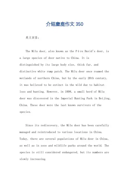 介绍麋鹿作文350