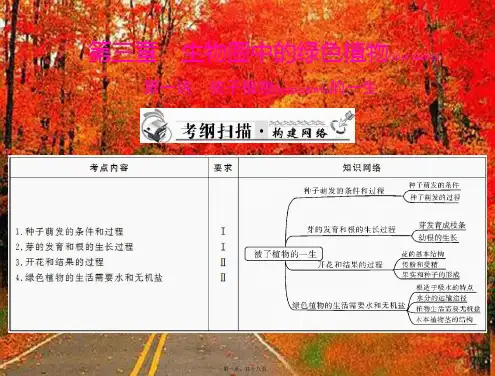 中考生物复习 被子植物的一生课件 