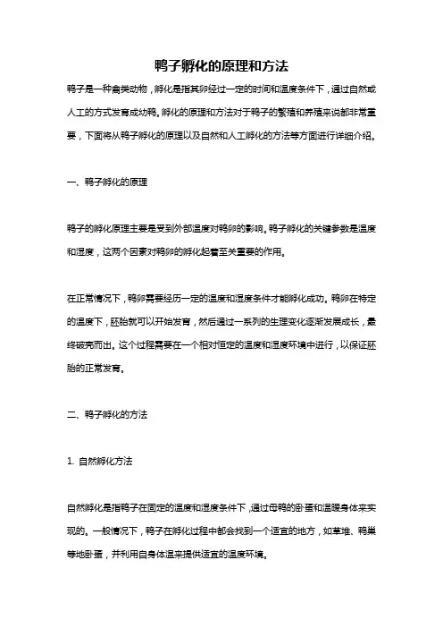 鸭子孵化的原理和方法