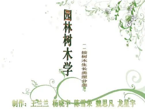 按树木生长类型分类
