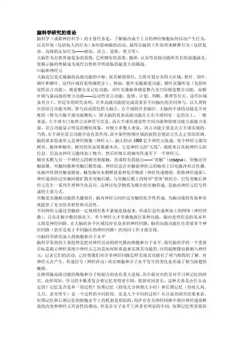 脑科学研究的理论