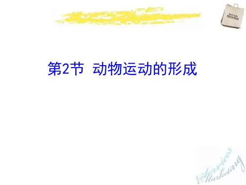 《动物运动的形成》PPT上课用