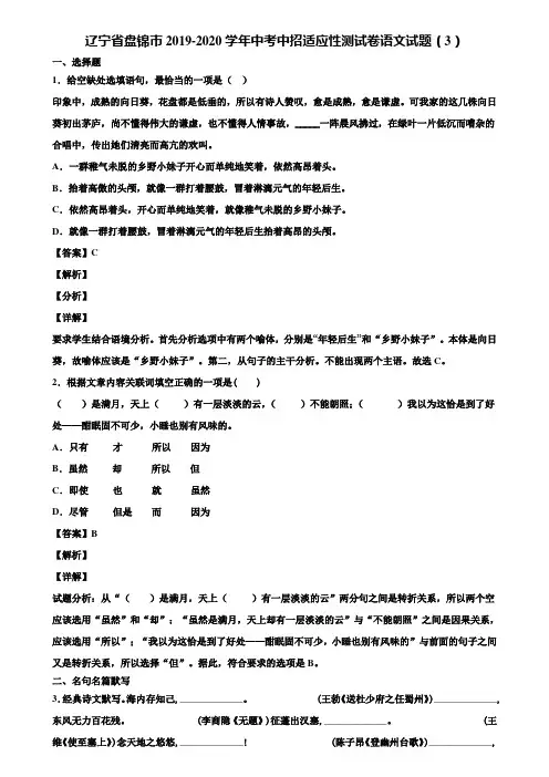 辽宁省盘锦市2019-2020学年中考中招适应性测试卷语文试题(3)含解析