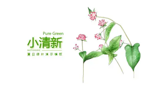清新精美PPT模板 (121)