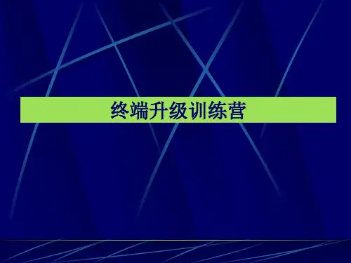 TCL国际电工终端升级训练营