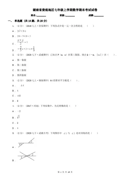 湖南省娄底地区七年级上学期数学期末考试试卷