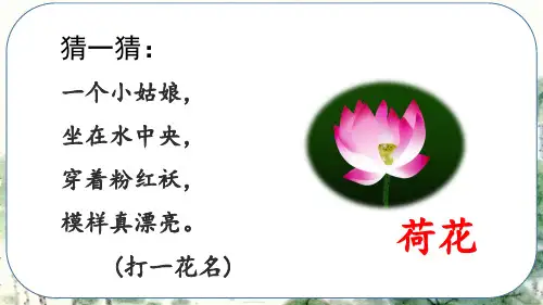 一下部编版语文11古诗二首《小池》《池上》(公开课课件)