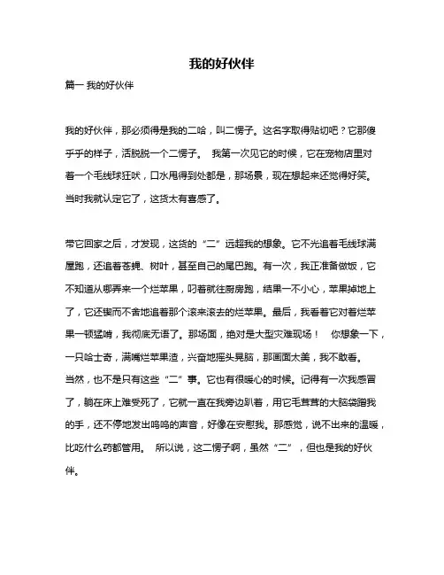 作文《我的好伙伴》