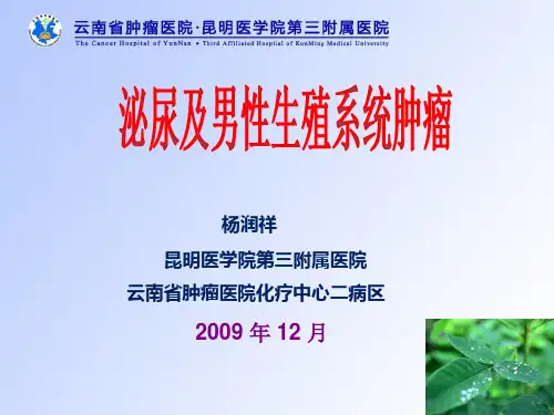 肿瘤学肾癌.ppt - 幻灯片1