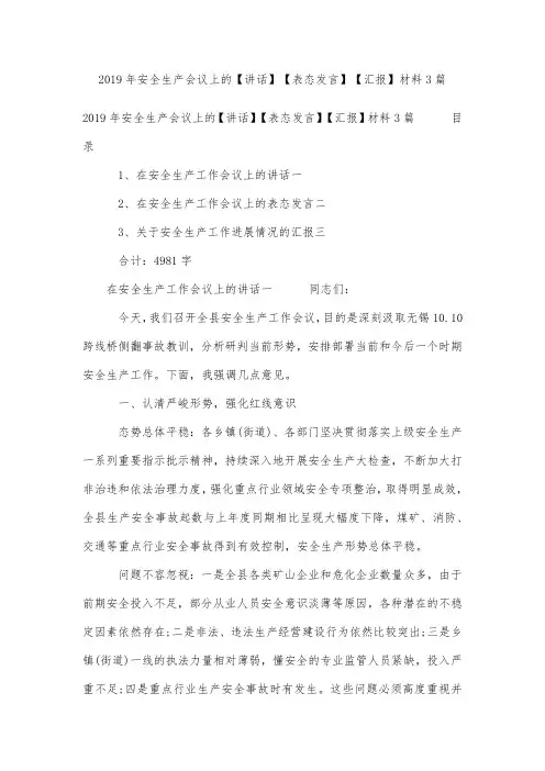 2019年安全生产会议上的【讲话】【表态发言】【汇报】材料3篇