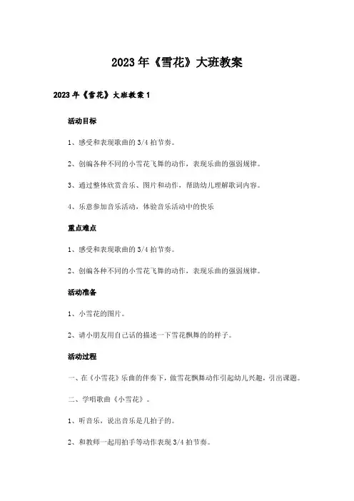 2023年《雪花》大班教案_1