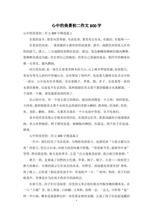 心中的美景初二作文600字