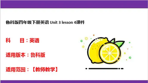 鲁科版四年级下册英语 Unit 3 lesson 4课件