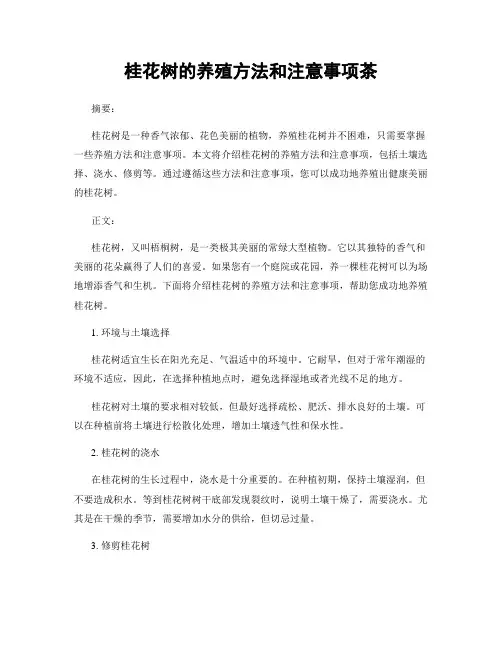 桂花树的养殖方法和注意事项茶