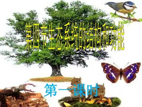 生态系统的结构和功能(46张PPT)