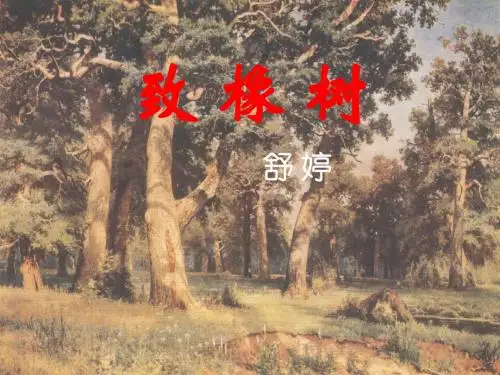 《致橡树》ppt课件