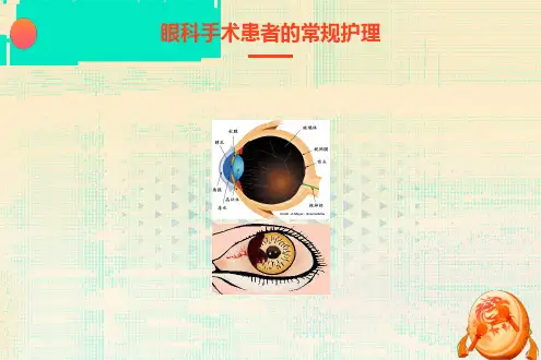 眼外伤及眼科手术护