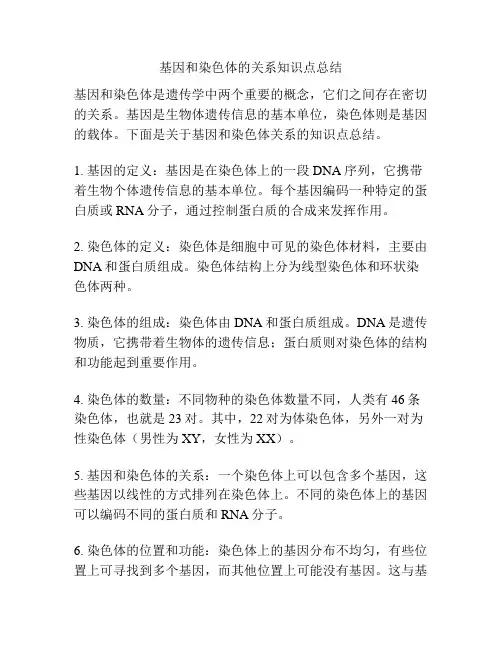基因和染色体的关系知识点总结