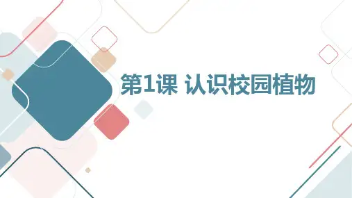 通用版小学一年级上册综合实践课程 第1课 认识校园植物