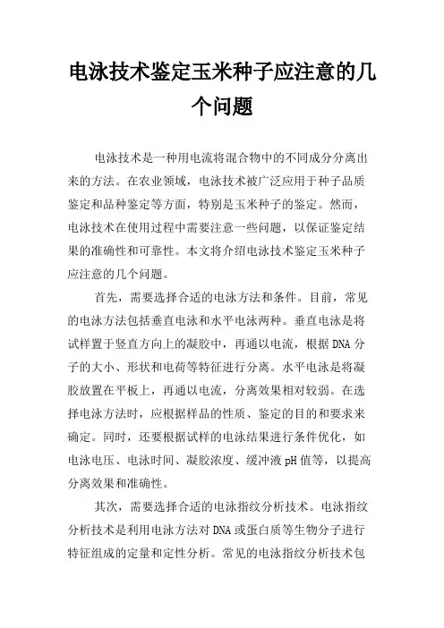 电泳技术鉴定玉米种子应注意的几个问题