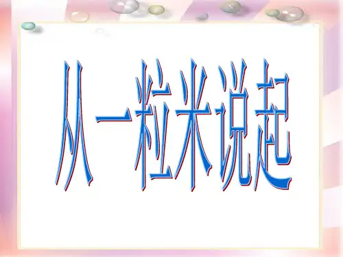 新西师大版四年级数学上册《节约一粒米》优质课课件.ppt