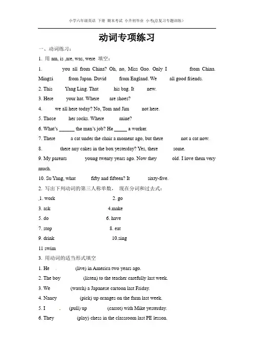XS湘少版小学六年级英语 下册 期末考试 小升初毕业 小考(总复习专题训练)-动词