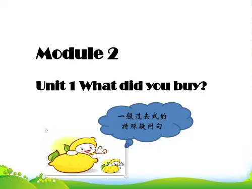 新外研版五年级英语上册Module 2 Unit 1 What did you buy