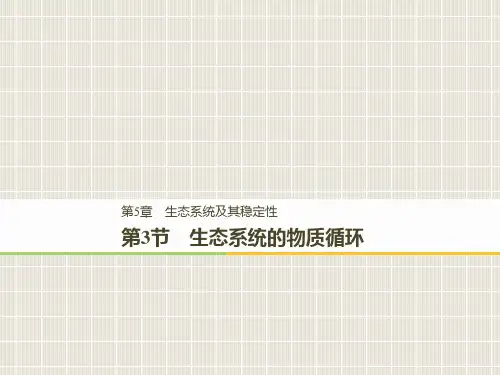 2018-2019学年高中生物 第5章 生态系统及其稳定性 5.3 生态系统的物质循环优质课件 新人