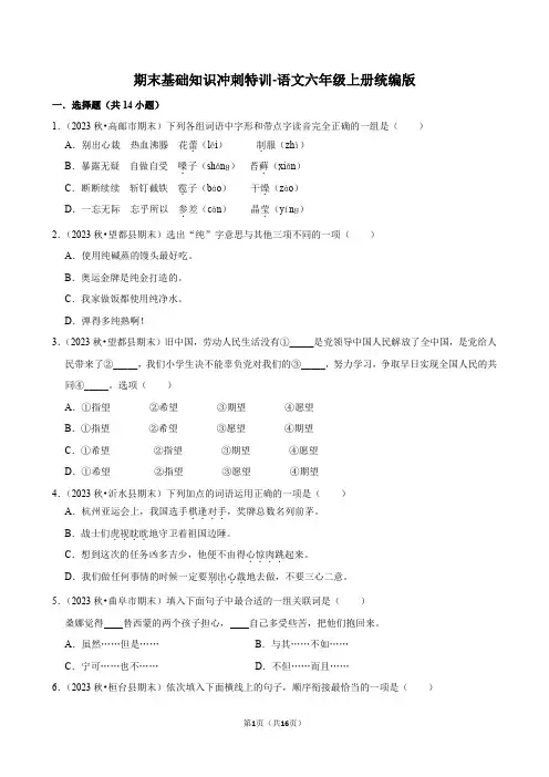 期末基础知识冲刺特训-2024-2025学年语文六年级上册统编版