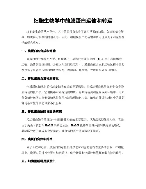 细胞生物学中的膜蛋白运输和转运