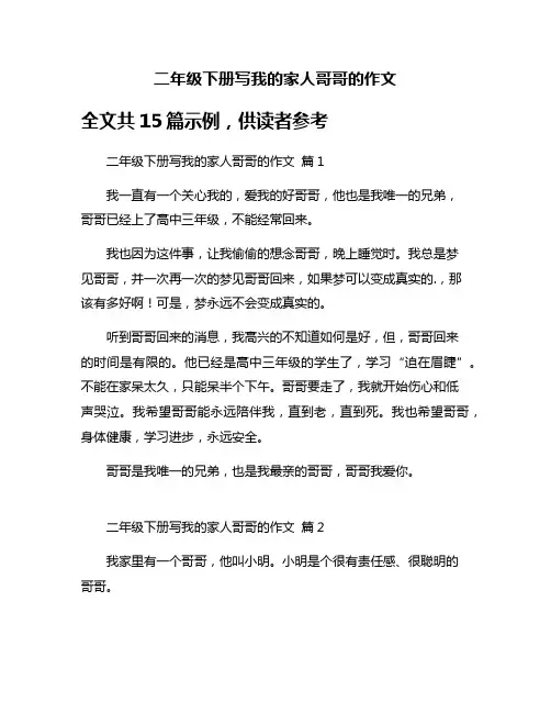 二年级下册写我的家人哥哥的作文