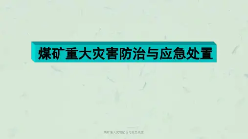 煤矿重大灾害防治与应急处置PPT